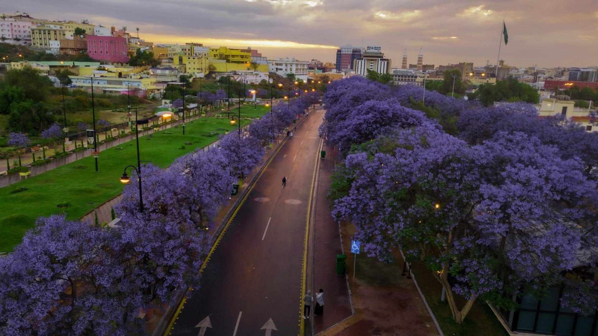 Abha Tour (Private Tour)