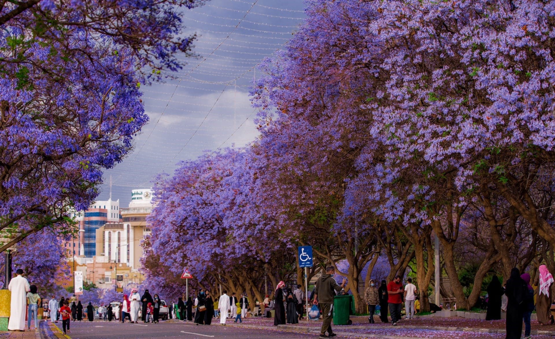 Abha Packages (4 days 3 nights)