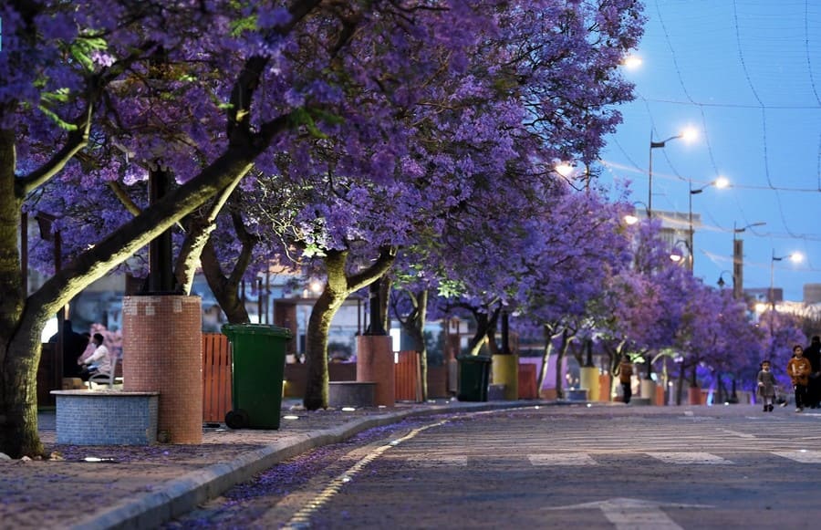 Weekend Escape In Abha: Package (3 Days 2 Nights)