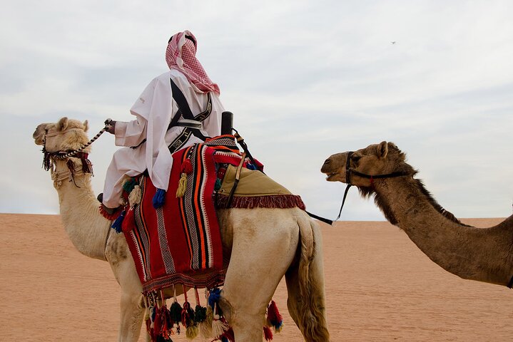 Al Thumama Desert Safari (Private Tour)
