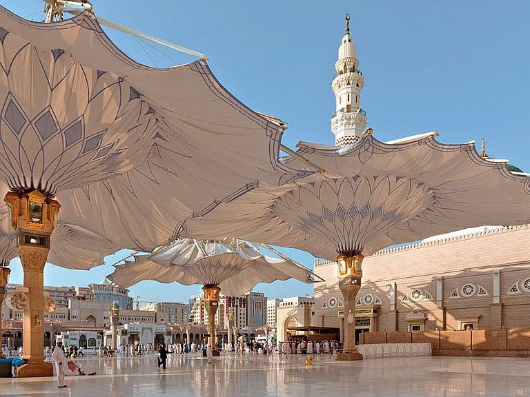 معرض الصور