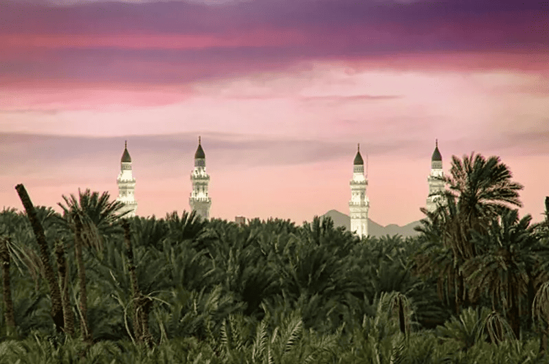 معرض الصور