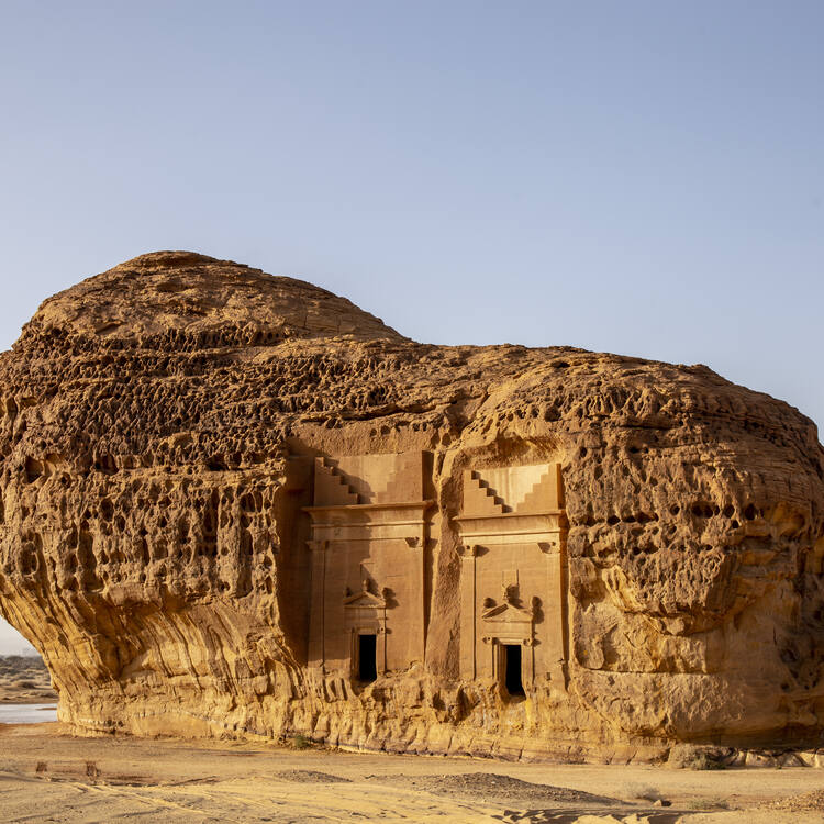 معرض الصور